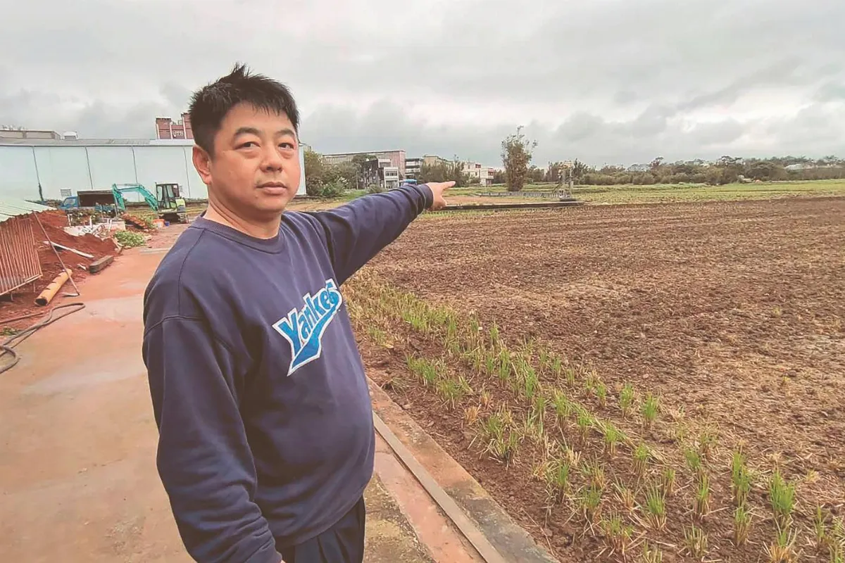 全台一期作停灌面積 創20年紀錄