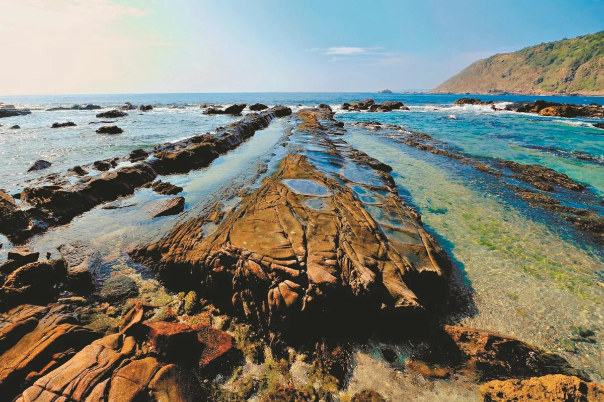 高師大研究 欣賞山海美景 有助提升免疫力