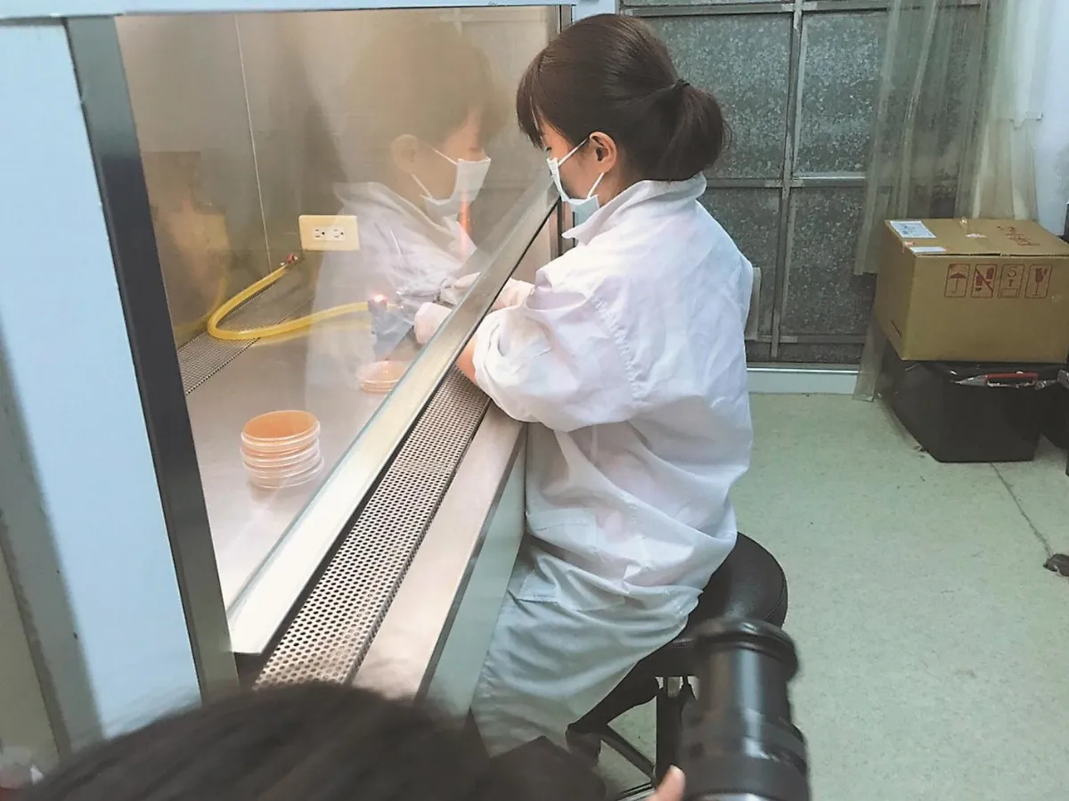 取沉香不壞生機 種回森林