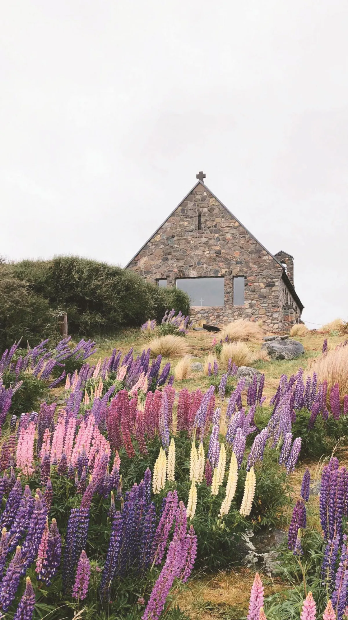 海闊天空   紐西蘭體驗永續旅遊