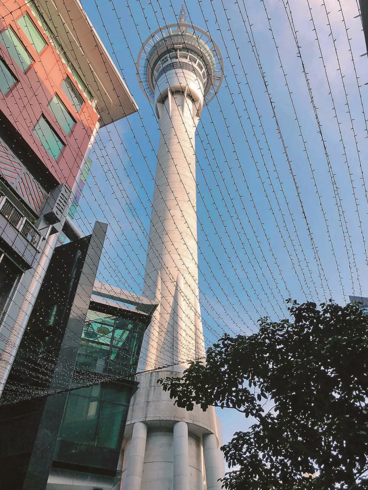 海闊天空   紐西蘭體驗永續旅遊