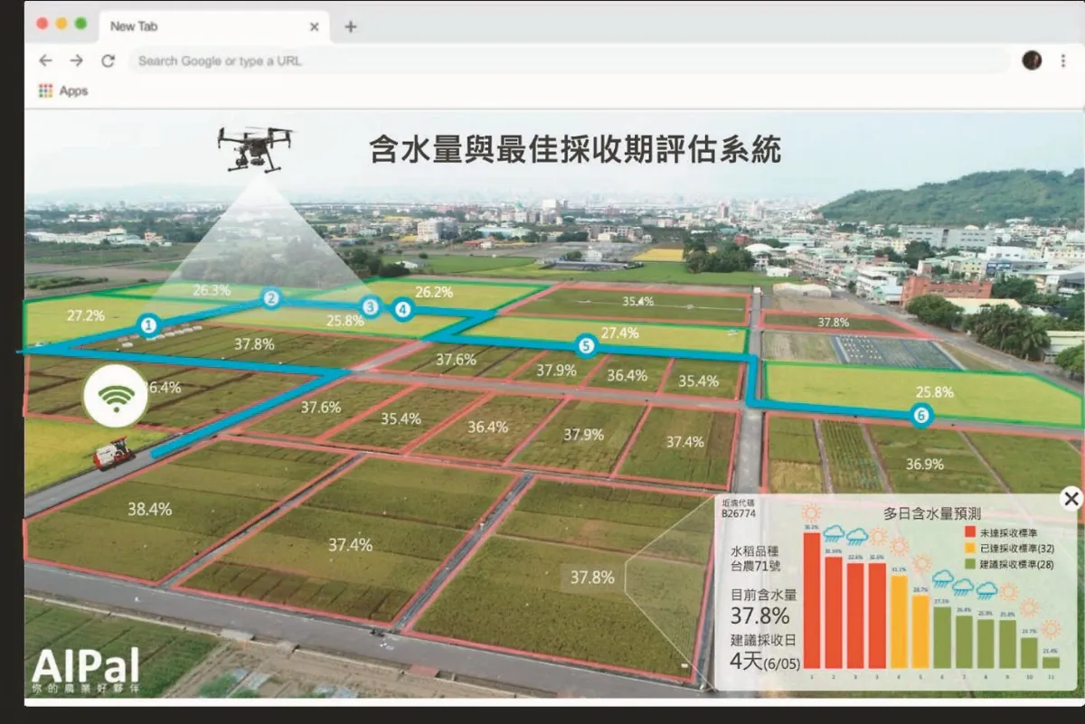 捐低碳足跡米 寒冬送暖助弱勢