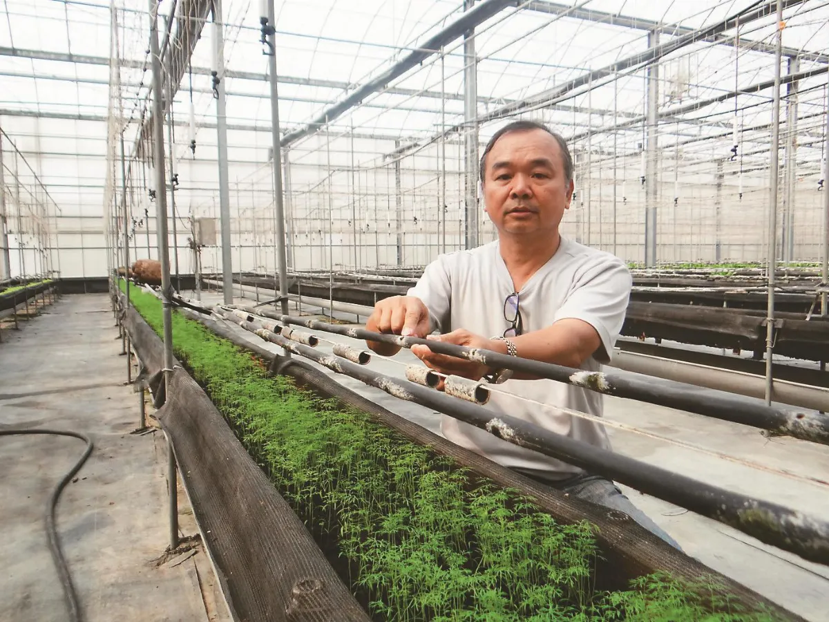 省水2招  農作滴灌節水8成 滯洪池兼灌溉