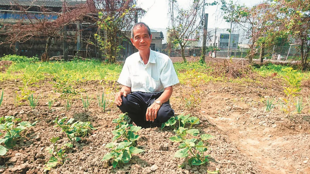酸菜爺爺樂教學 傳承文化與手藝