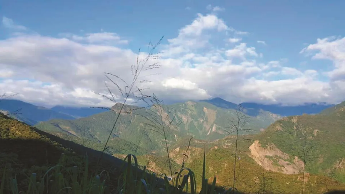 鳴海山．網子山 首搭貨車顛簸行