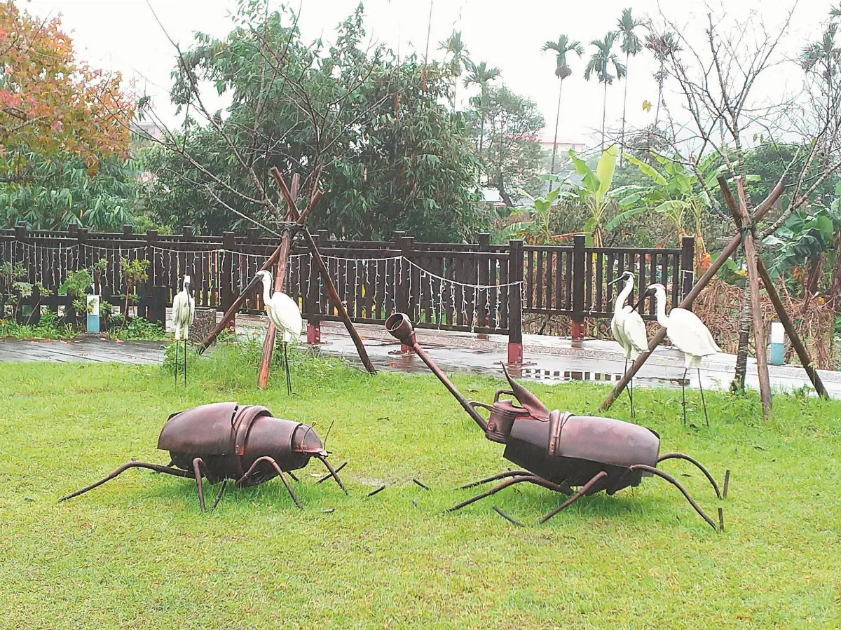 生活快門 花鳥魚蟲天然趣