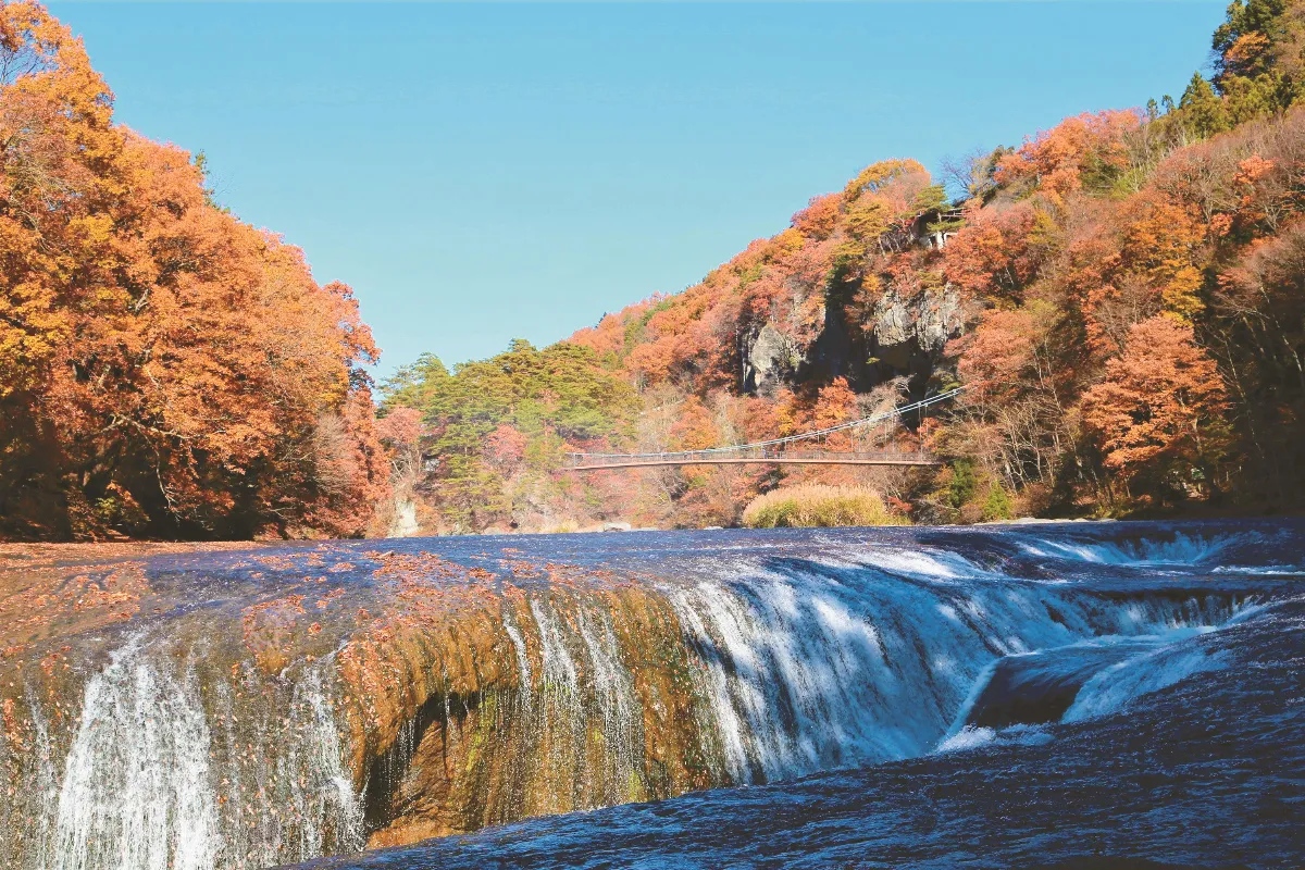 隨堂開示錄─對談專訪 43 佛教對問題的看法3-3