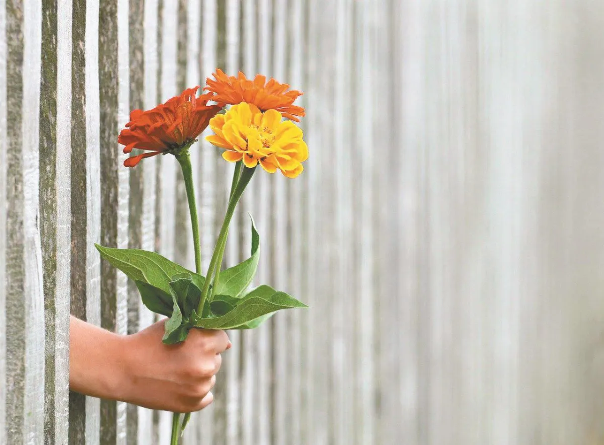 紓壓養生 送禮物&勤運動 創造幸福感