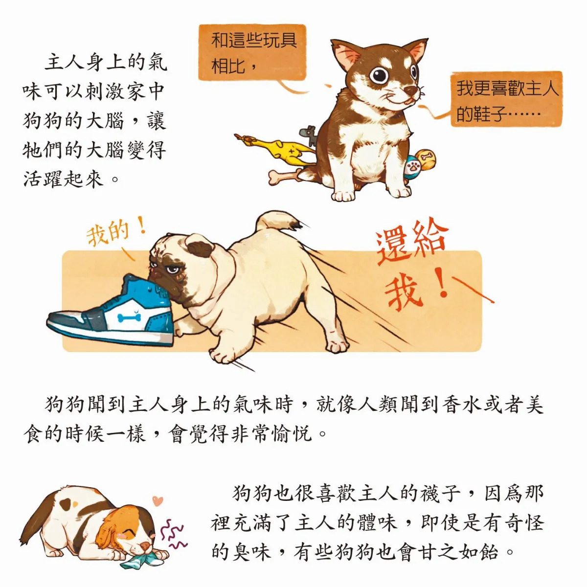 更多 冷知識 人體氣味可刺激狗大腦