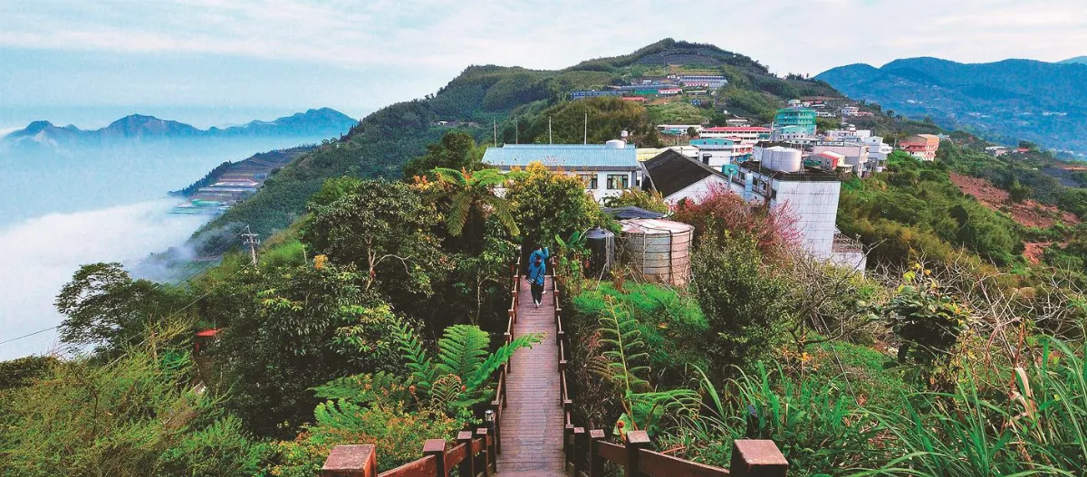 步道手札 尋阿里山祕境
