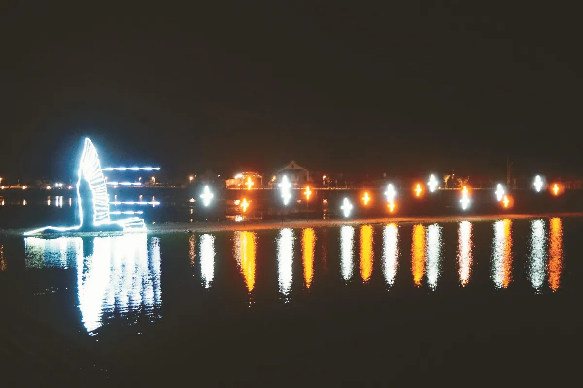 金門夜未眠 鸕鶿迎光飛翔