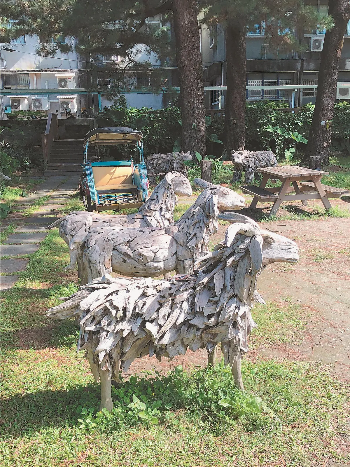 生活快門   山羊迎賓