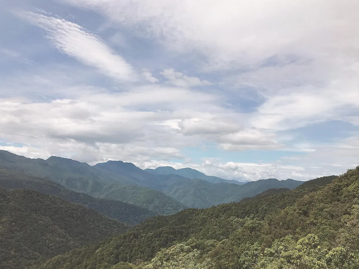 親近台灣山林  釋放身心壓力 上