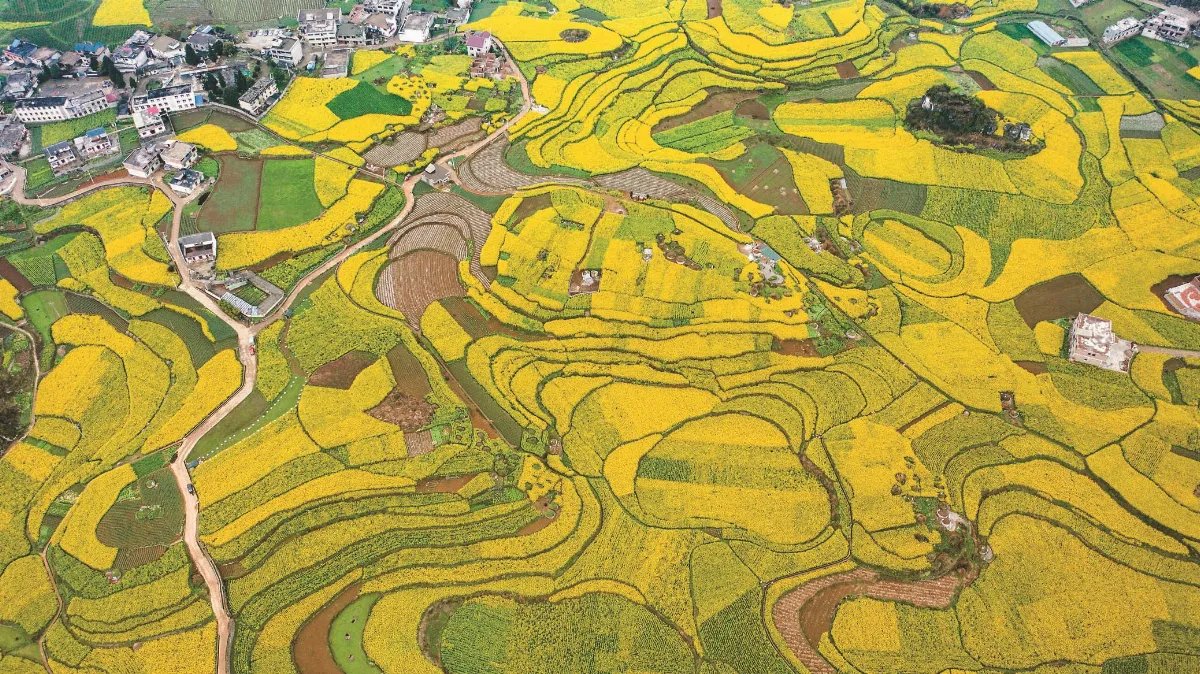 驚蟄春意濃