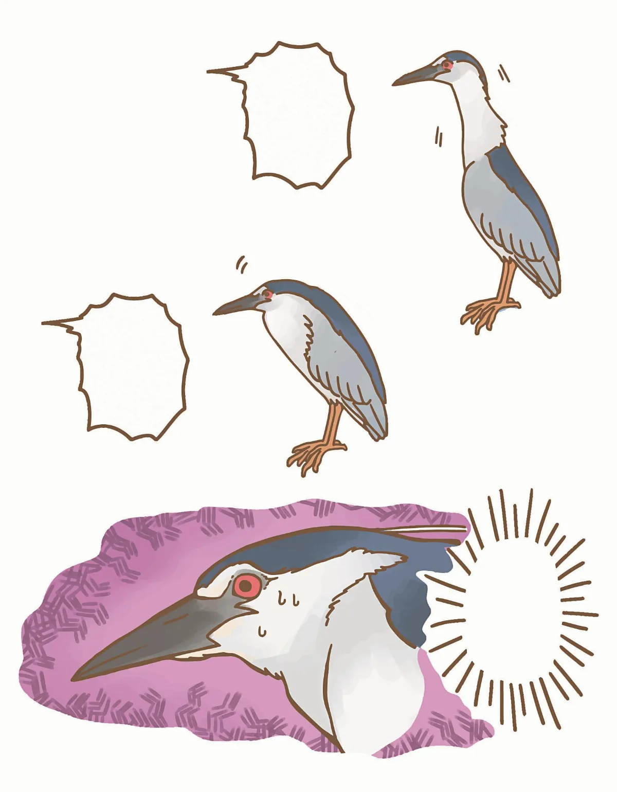 夜路走多了 會遇到夜鷺