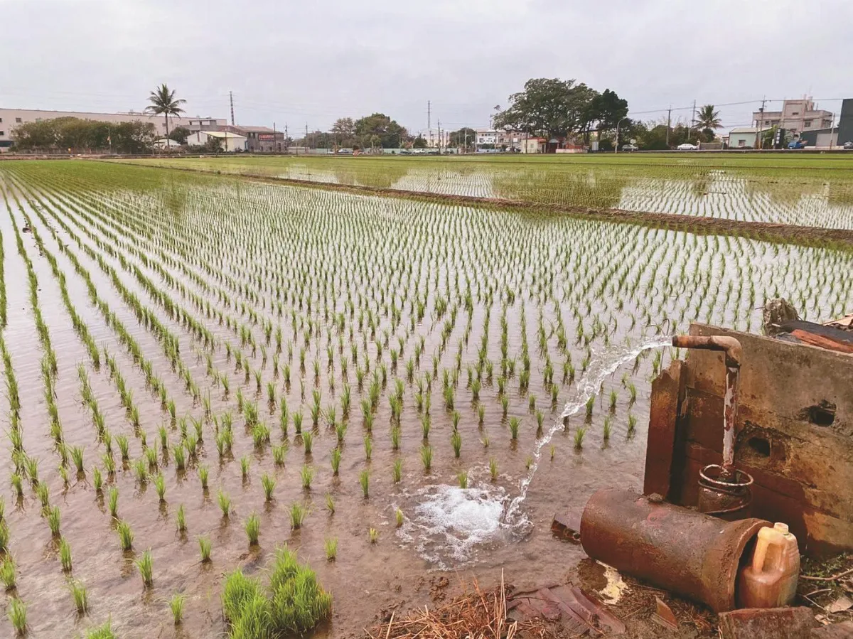 水情嚴峻 嘉雲南非法水井多