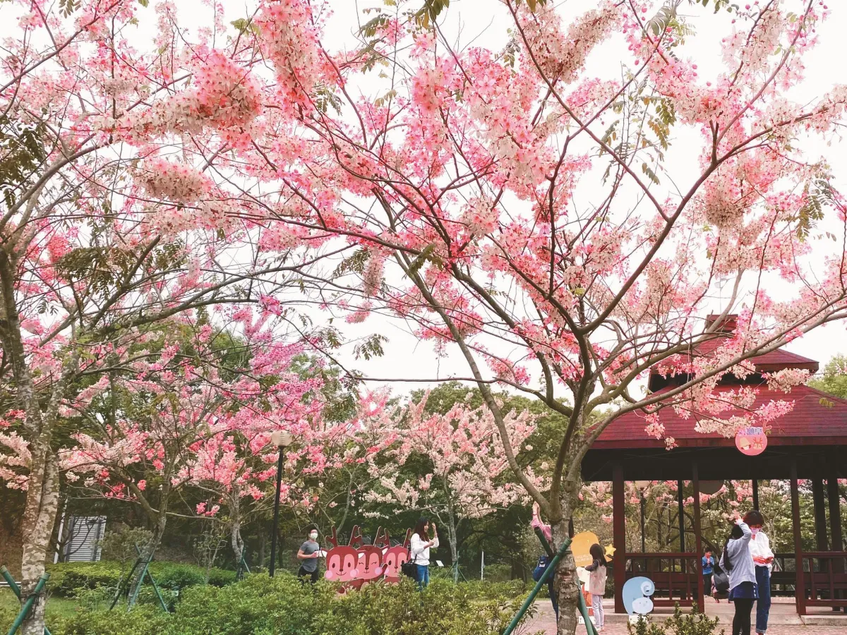 花的迫降 國道四季皆美