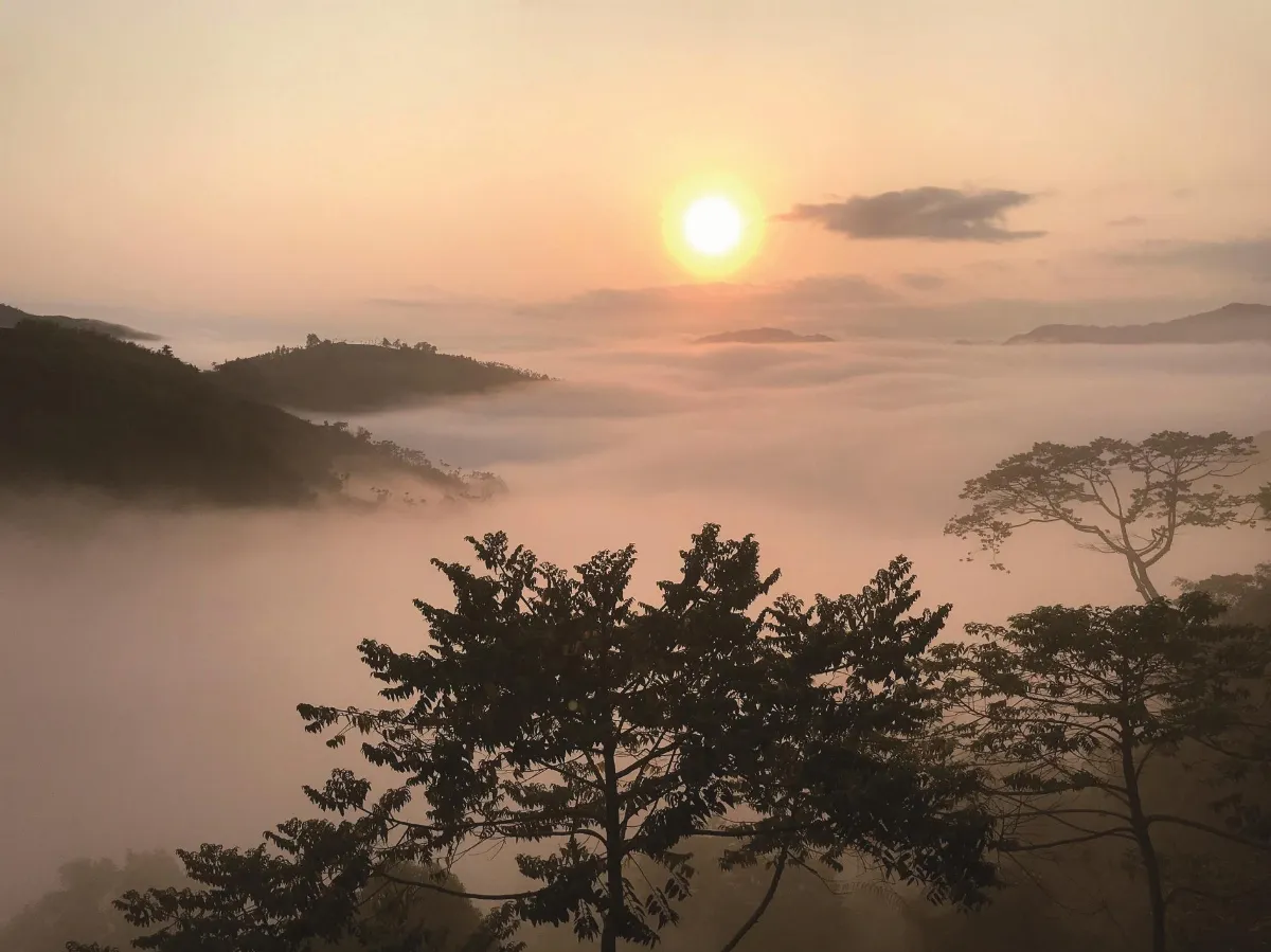 人間走讀  那一夜，霧籠太平