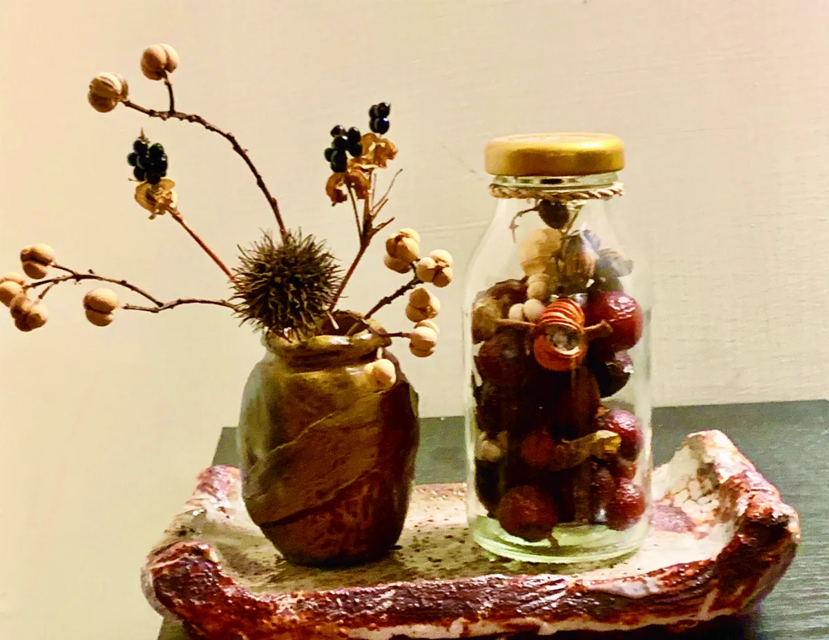 時光重逢 佛光麵與無患子樹