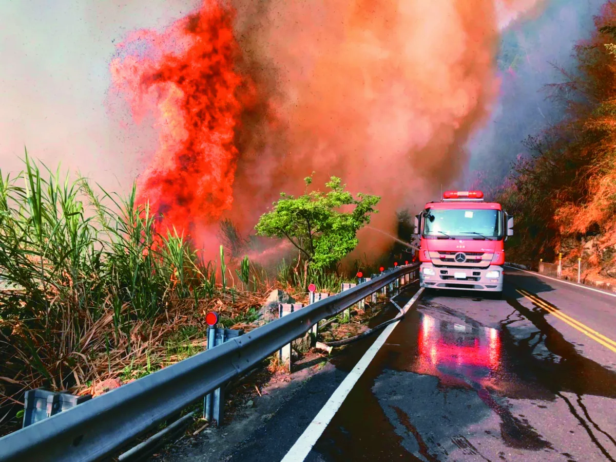 火燒阿里山 花季路斷衝擊觀光