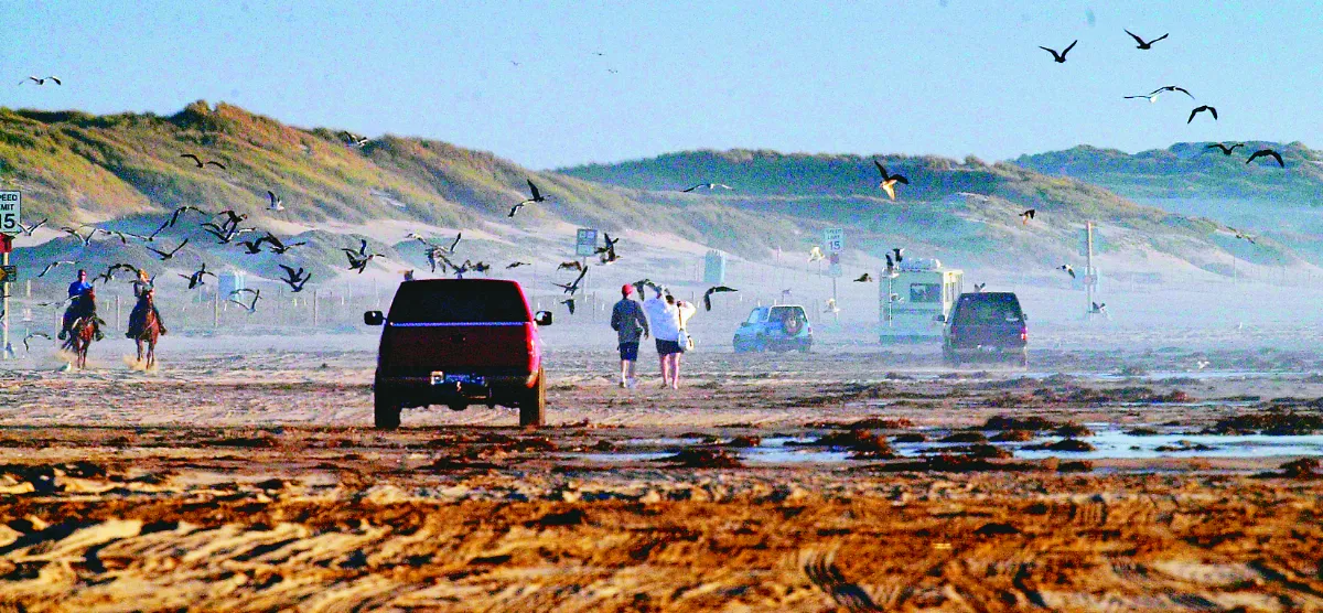 護沙丘 禁非公路車