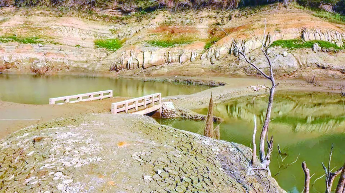 水庫探底  遺址文物水落石出