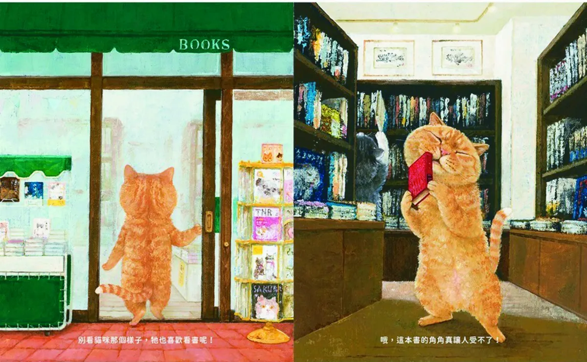 貓咪看家 窺喵星人獨享時光