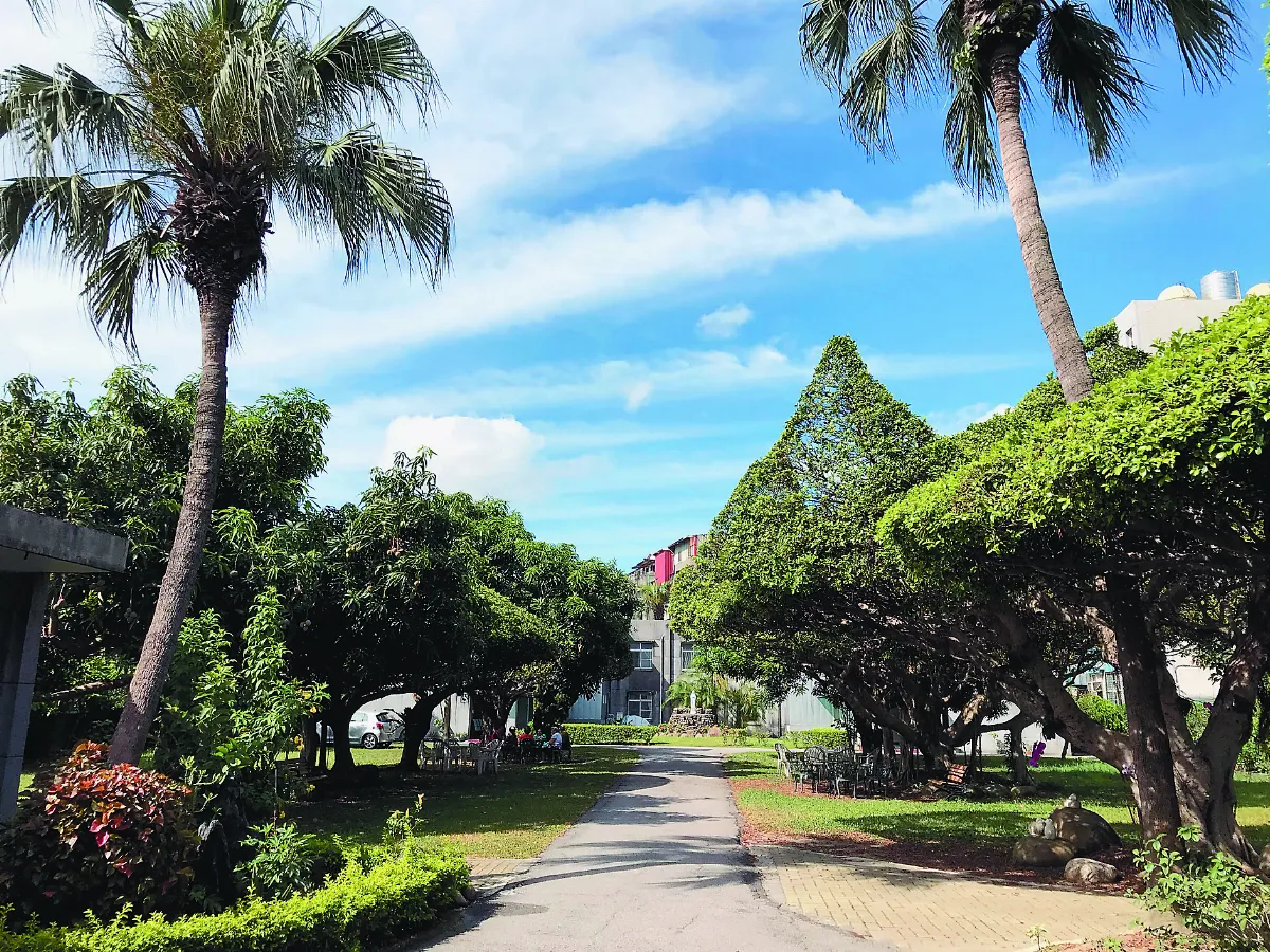 百年慈善 主顧修女會奉獻長照