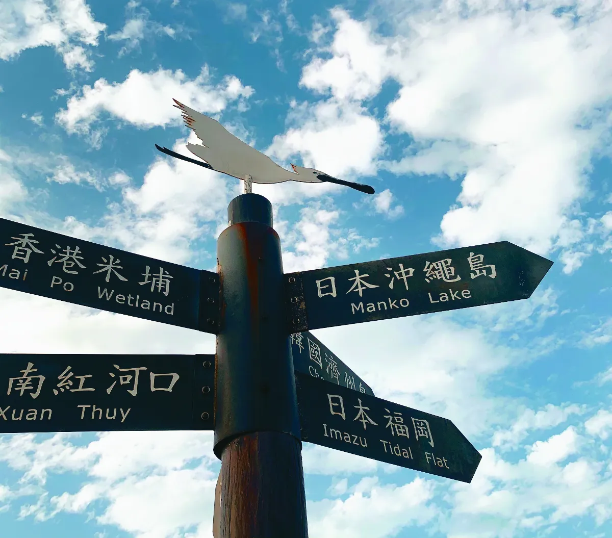 王文靜看世界 旅行在海上沙漠──七股潟湖