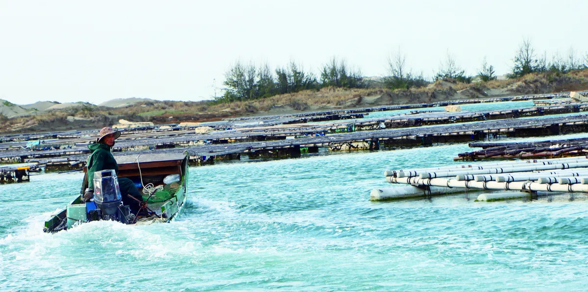 王文靜看世界 旅行在海上沙漠──七股潟湖