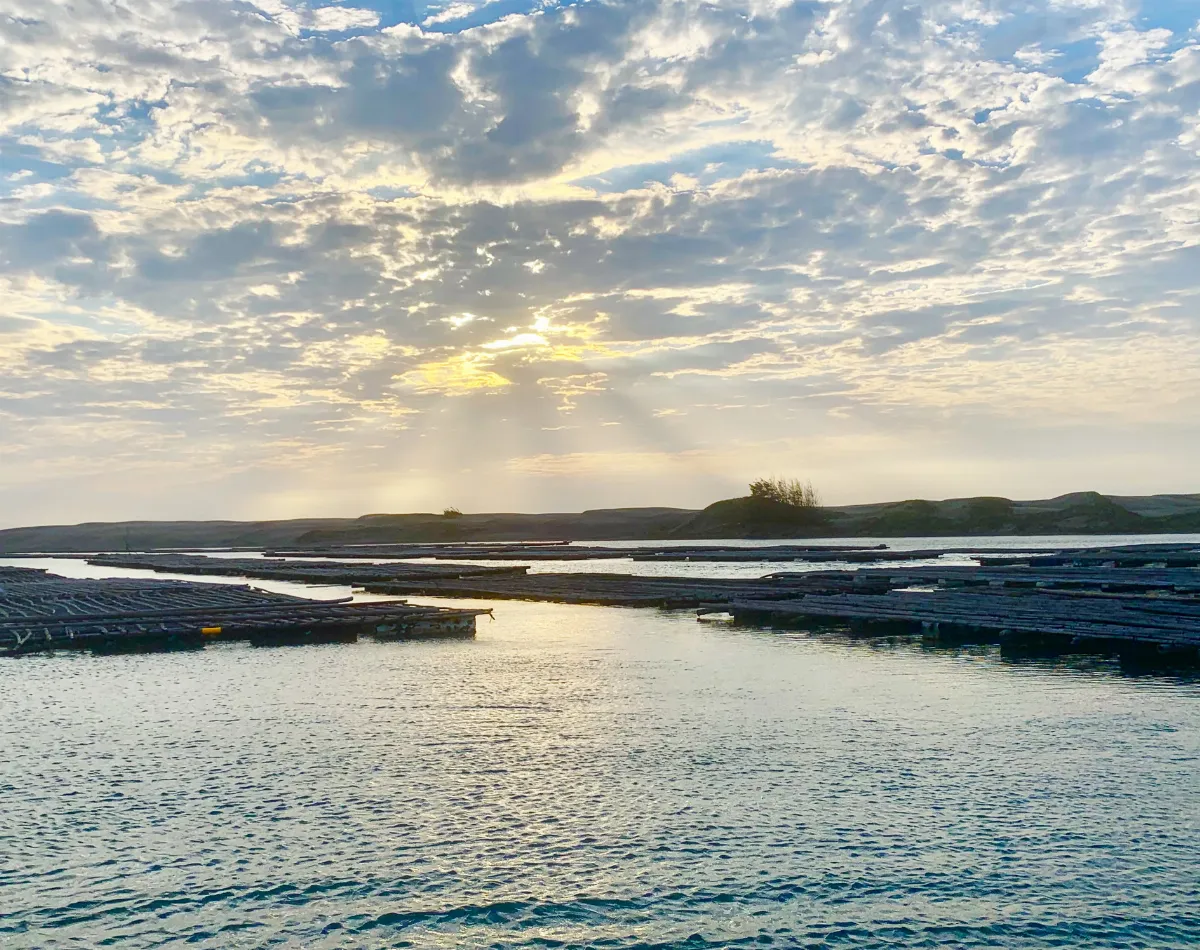 王文靜看世界 旅行在海上沙漠──七股潟湖