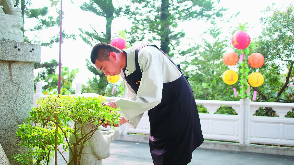 叢林風光 叢林出坡  耕耘心田