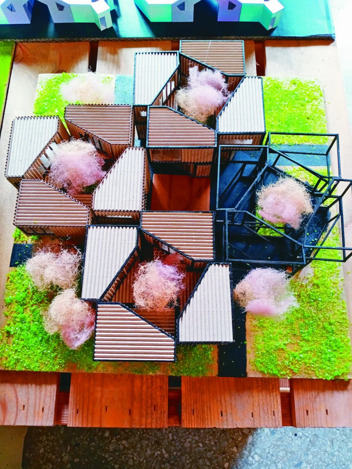 防疫旅館 成為看比賽包廂