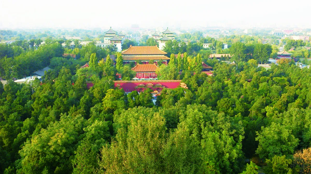 我行遲遲 小喜