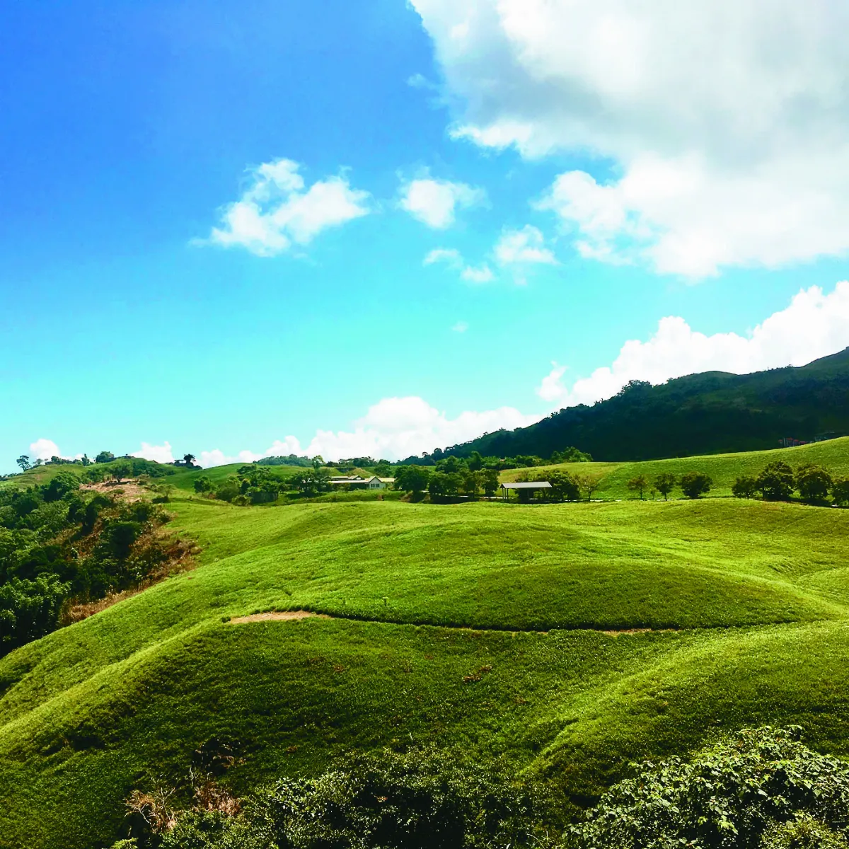 青春眼界 給我一片蔚藍天