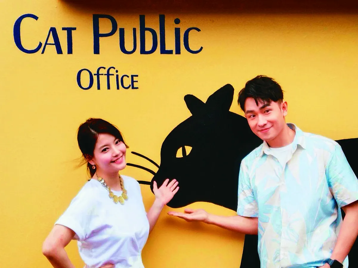 猴硐貓公所  普查貓咪製身分證