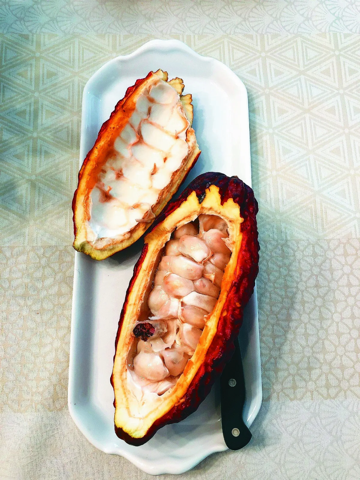 可可豆營養 能用來做菜