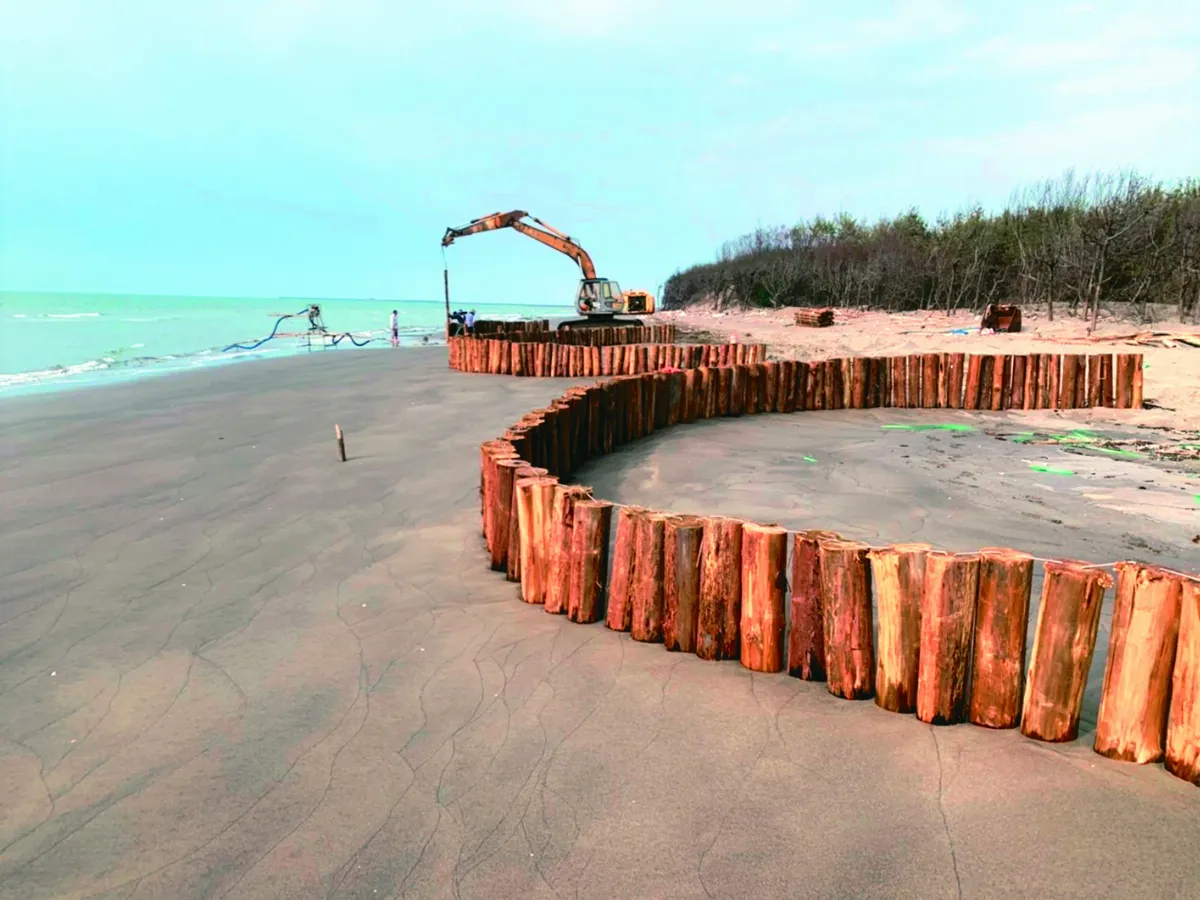 搶救網仔寮汕 沙洲種樹遇乾旱