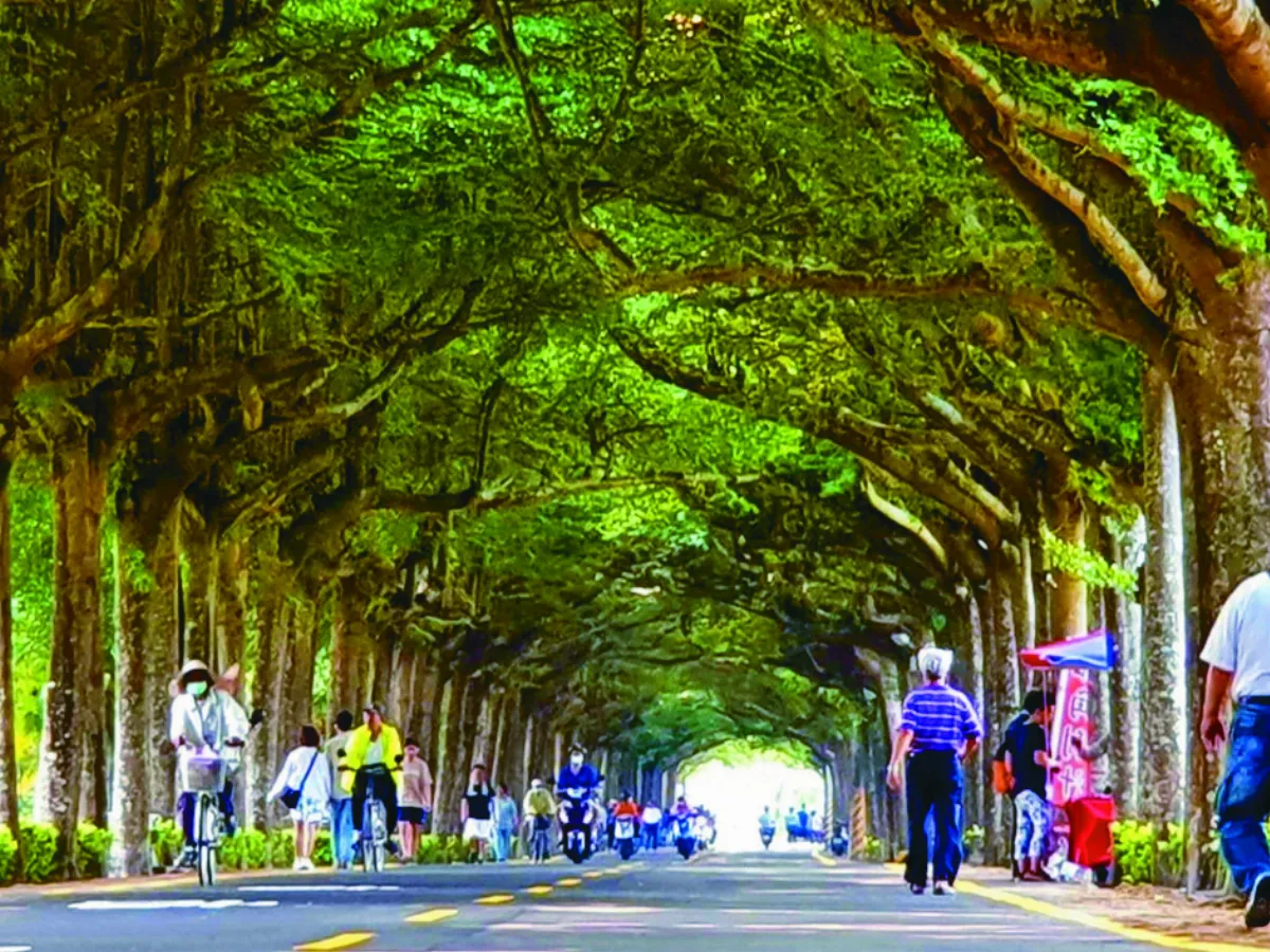 泗林綠色隧道 打卡熱點
