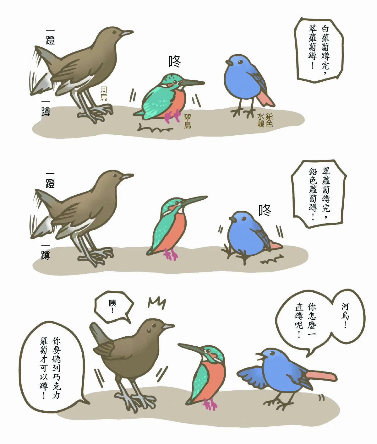 玉子手札 會潛水的巧克力褐河烏