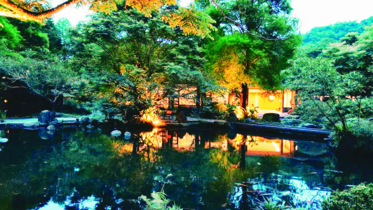 宜蘭農場 日賞桐花夜觀螢