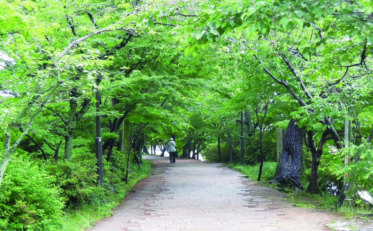 我行遲遲 朔月