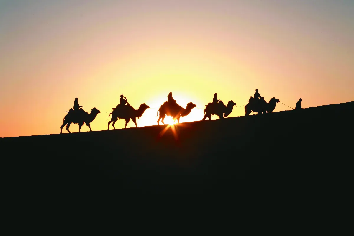 隨堂開示錄─各類致詞 34   保存、研究而努力 為佛教文化的