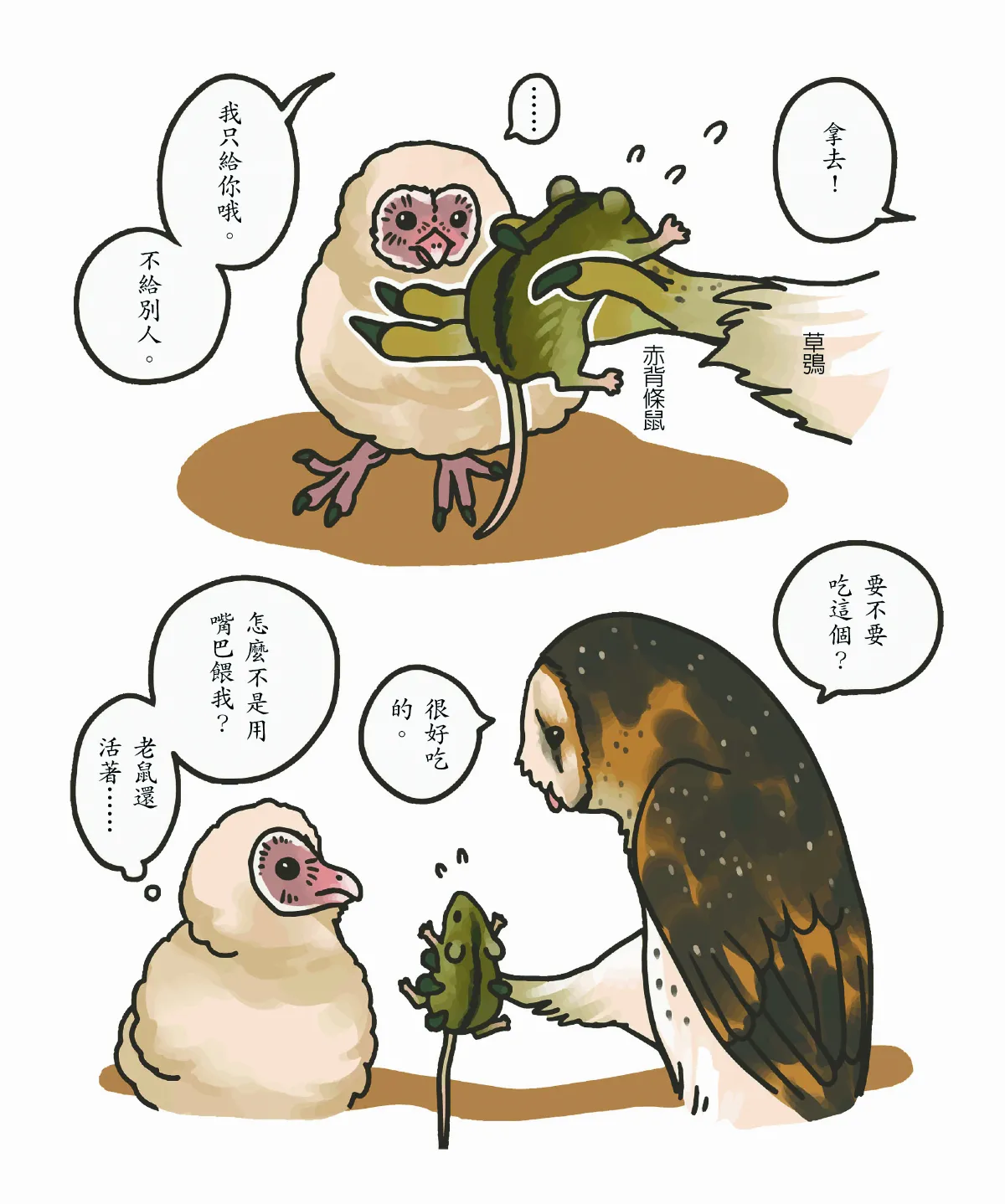玉子手札 草叢裡的小蘋果 東方草鴞