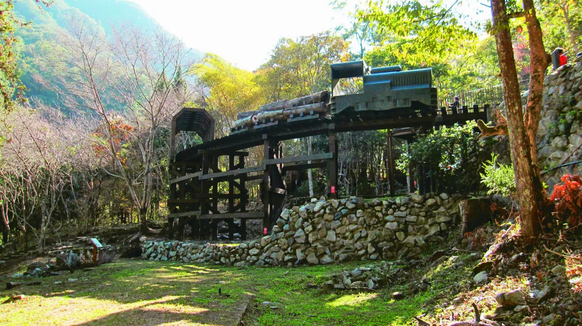 印象旅人 走入八仙山國家森林遊樂區