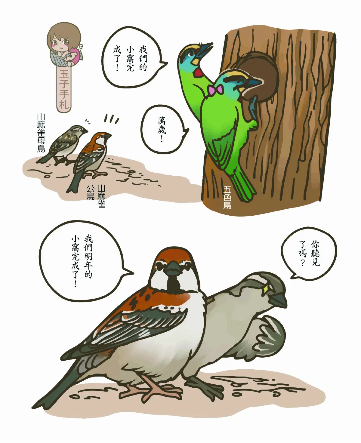 山麻雀擇洞巢繁殖