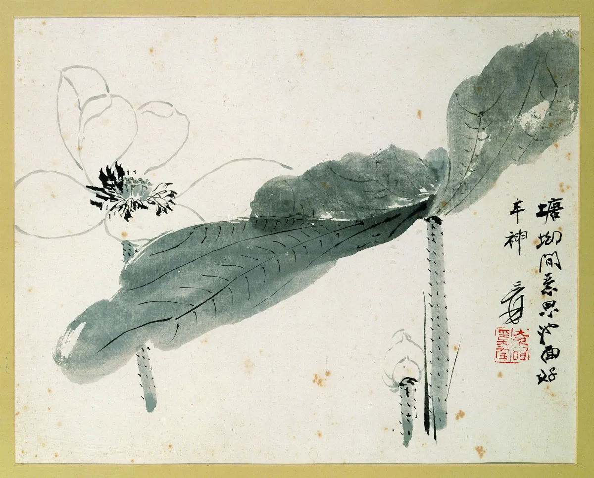 人間池塘 史博館的荷花緣