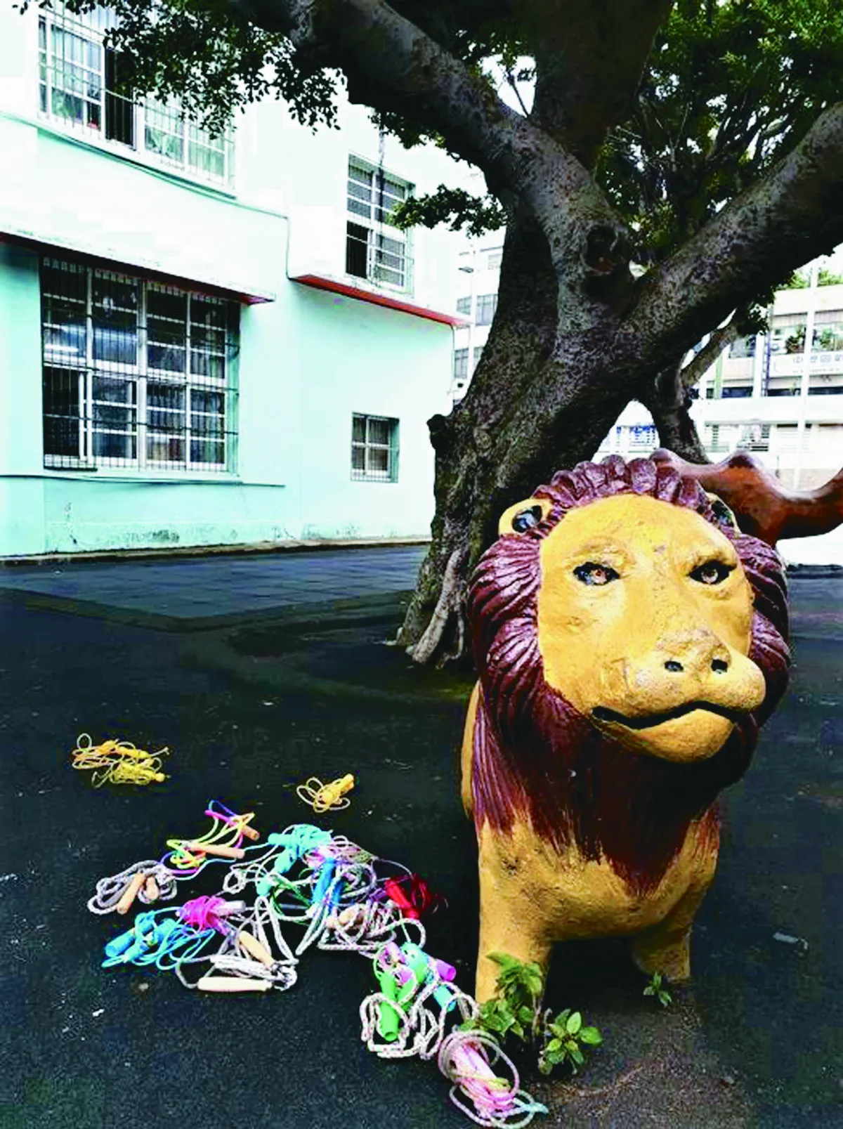 生活快門 捨我其誰