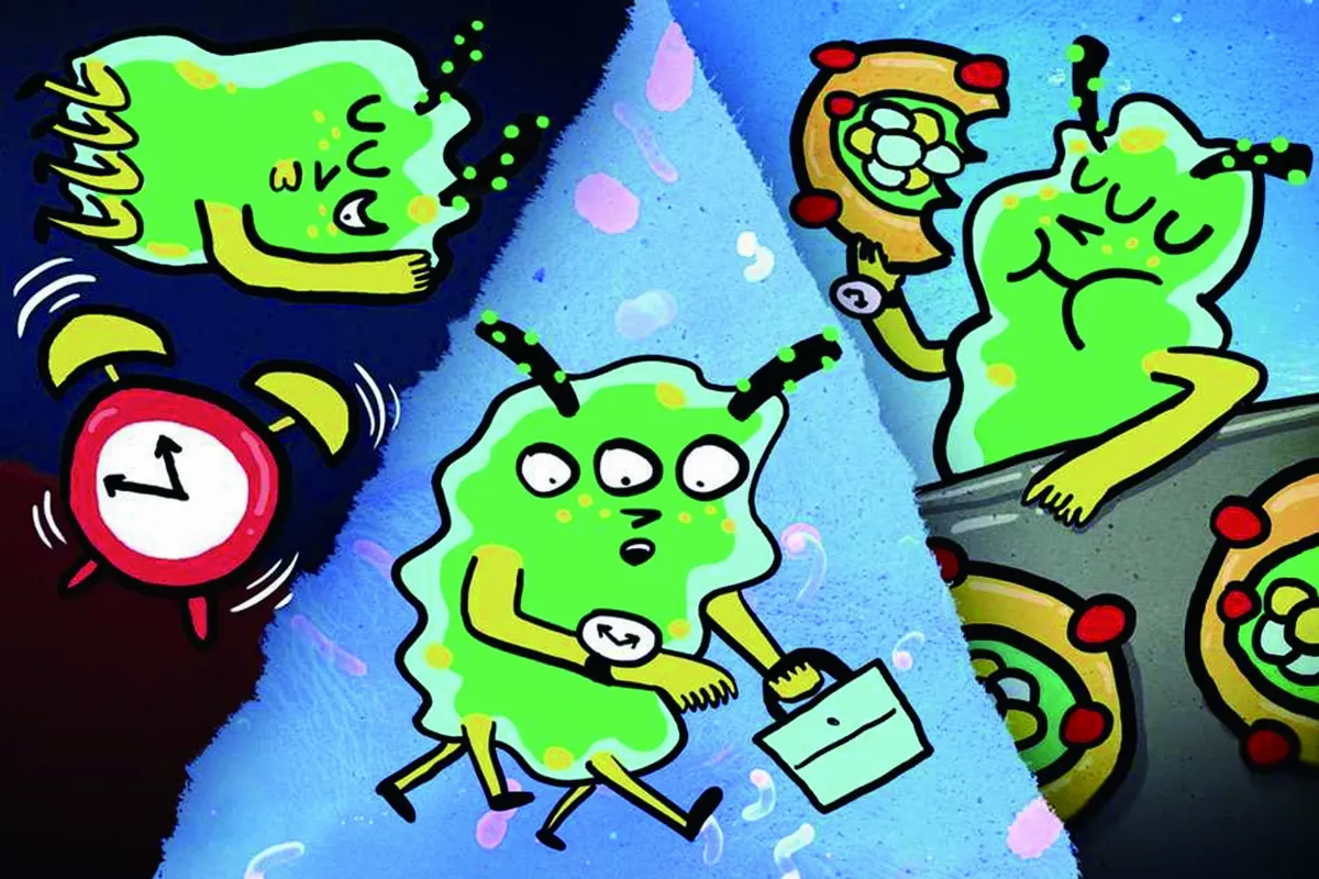 等比級數、等差級數，差在哪？