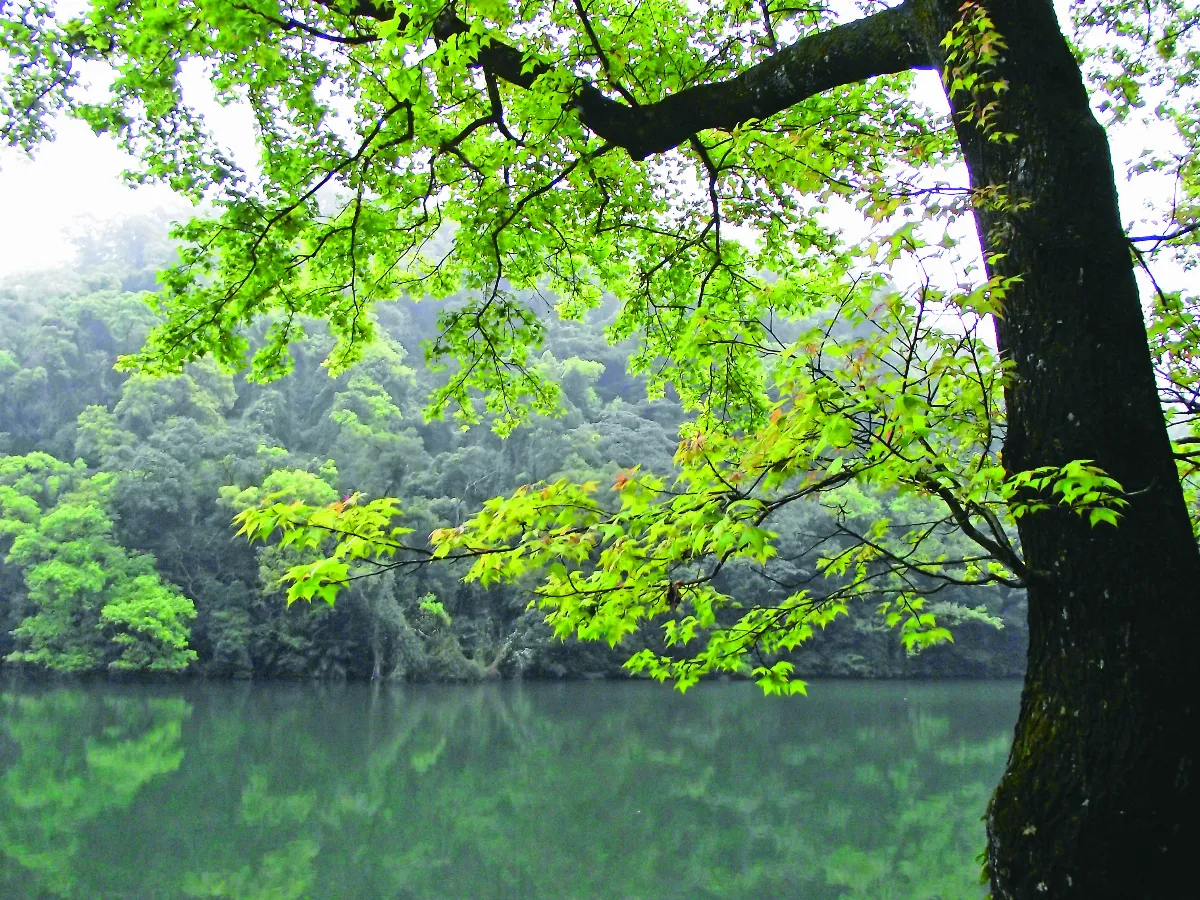 【走過歷史】 大溪後慈湖